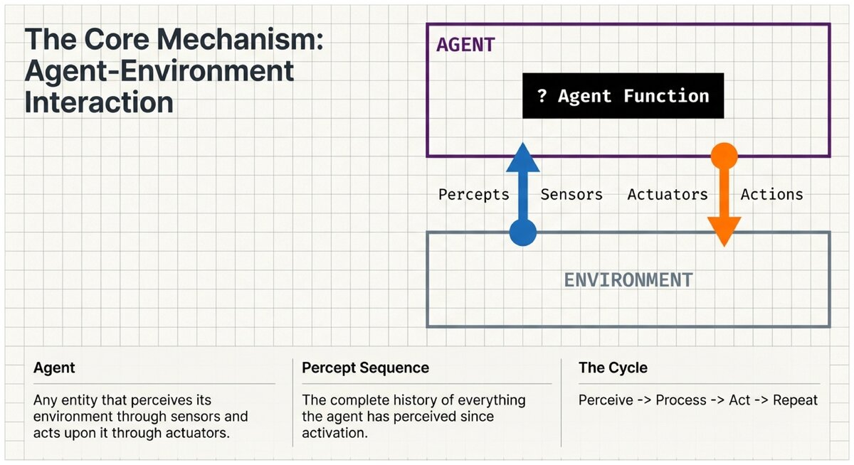 Diagram showing agent-environment interaction with sensors percepts actuators and actions